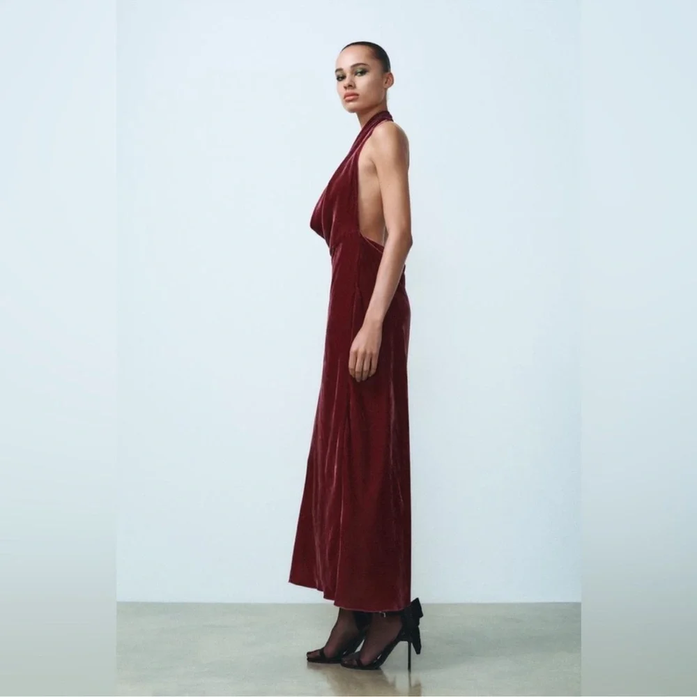NWOT Zara Raspberry Pink Velvet Maxi Dress Halter Neck Open Back Size XS - Picture 4 of 9